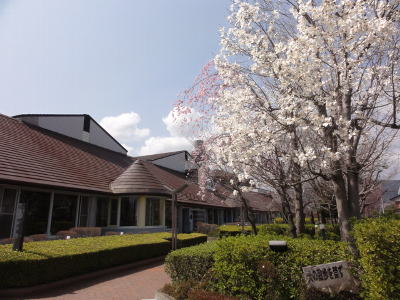 茶色の屋根の建物と花が咲いている桜の木の写真
