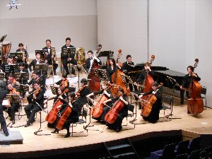 演奏中のオーケストラのコントラバスとチェロの席の写真