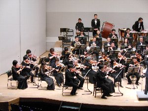 演奏中のオーケストラのヴァイオリンの席の写真