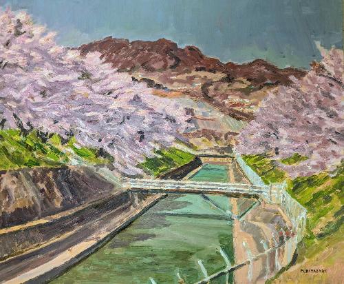 mamoruhiyazakisasadairahatudensyo