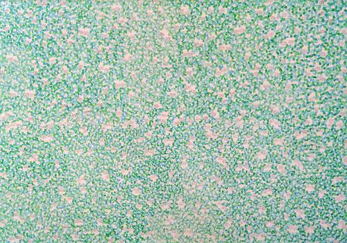 shirotumekusachanalmond